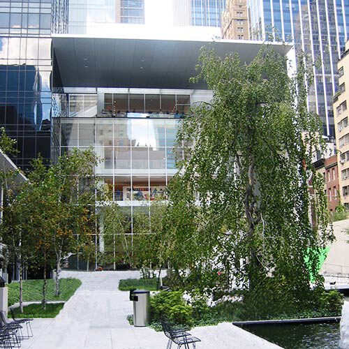 moma Museum of Modern Art